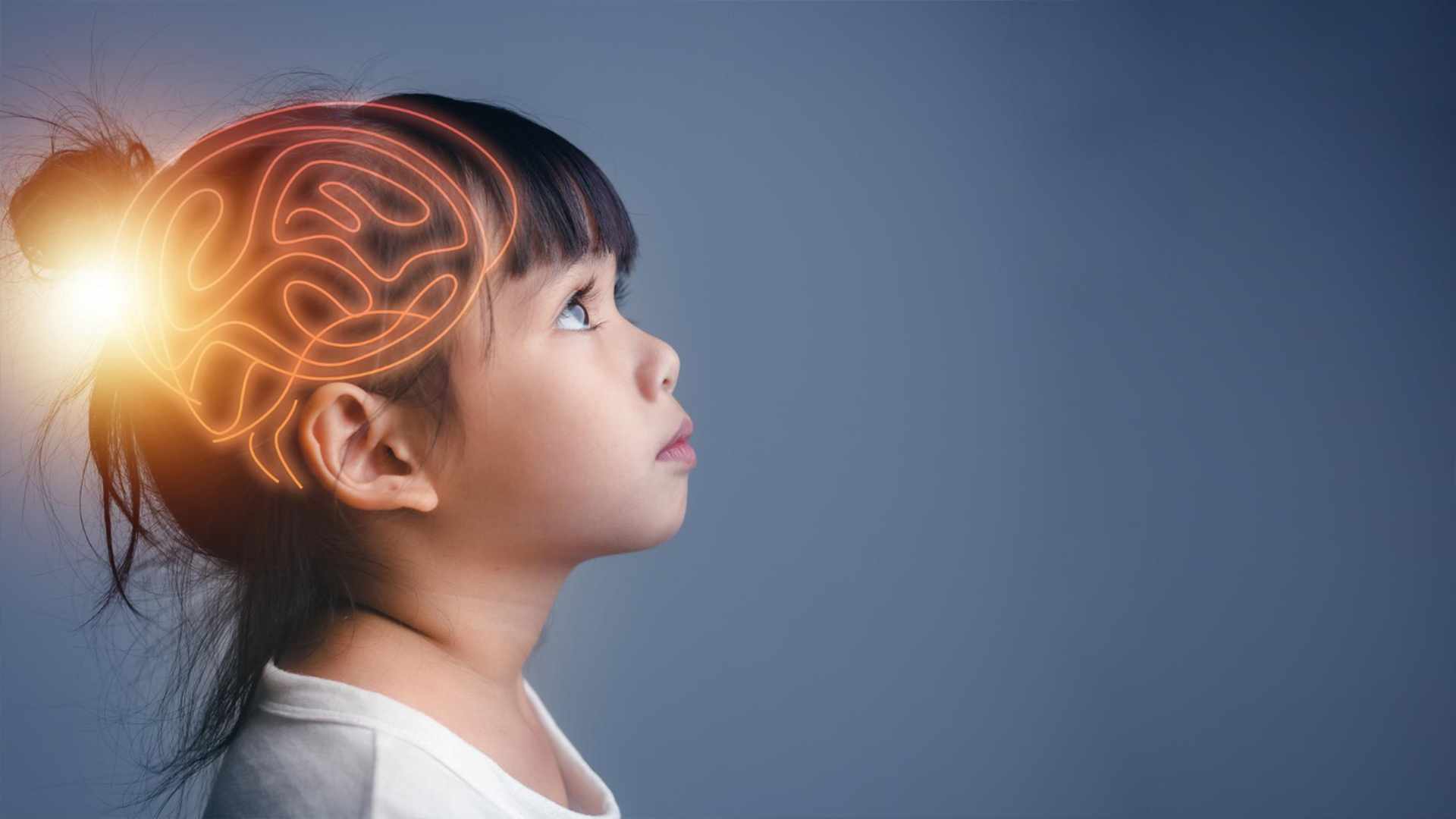 The Developing Brain: How Each Brain System Grows and How Parents and Teachers Can Support It